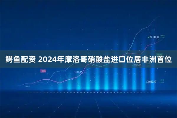 鳄鱼配资 2024年摩洛哥硝酸盐进口位居非洲首位