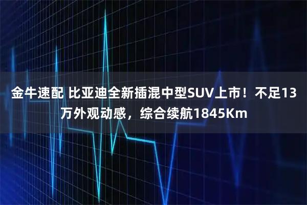 金牛速配 比亚迪全新插混中型SUV上市！不足13万外观动感，综合续航1845Km